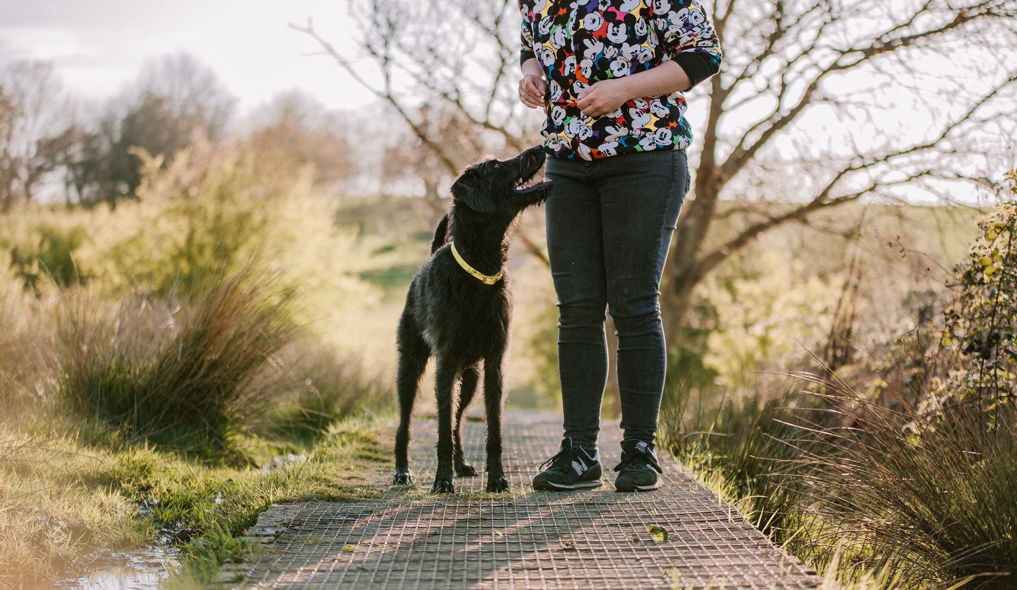 Miriam training Tiggy outdoors on a woodland path
